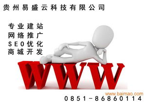 主流的網(wǎng)站建設信息與可信服務指南